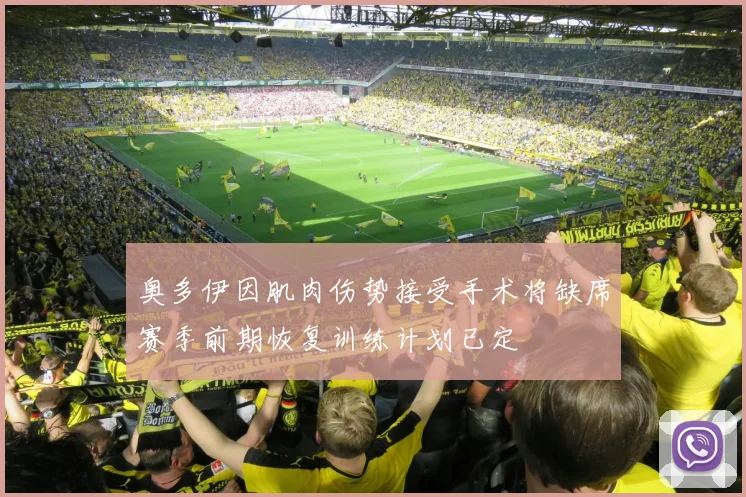 奥多伊因肌肉伤势接受手术将缺席赛季前期恢复训练计划已定